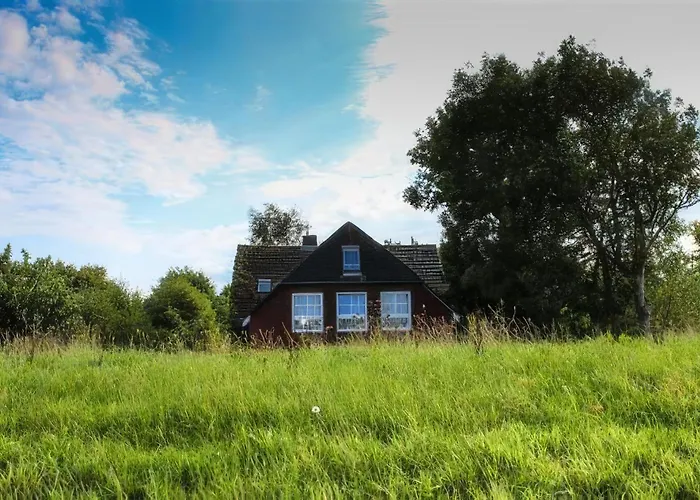 Am Deich Appartement